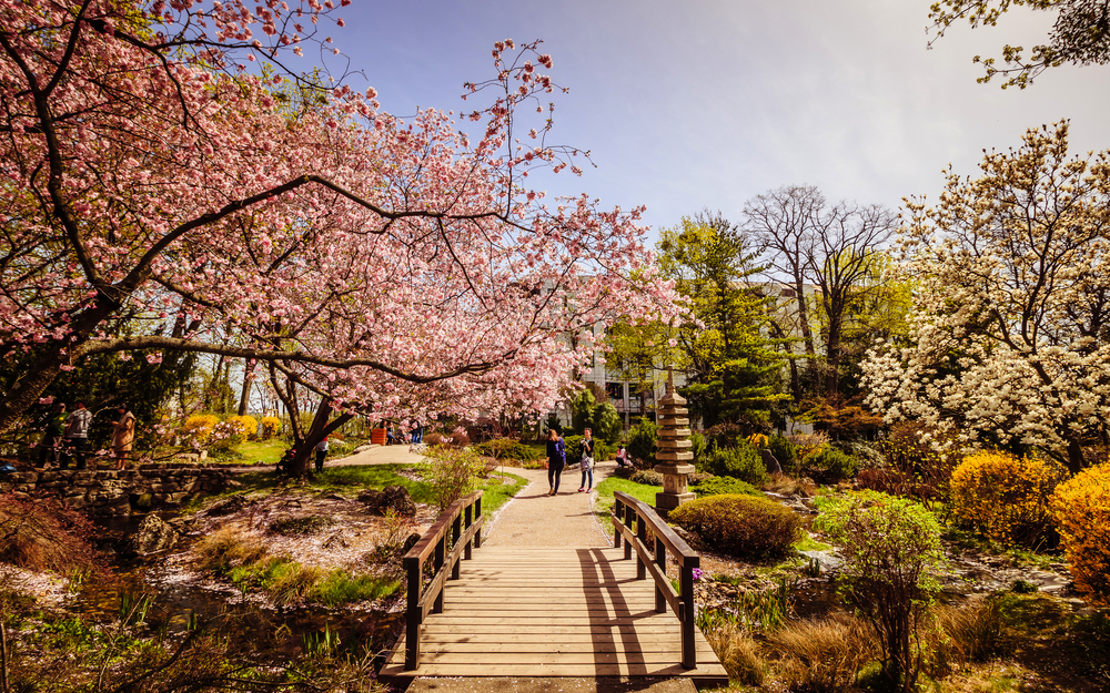 Frühling im Setagaya Park in Wien, Österreich