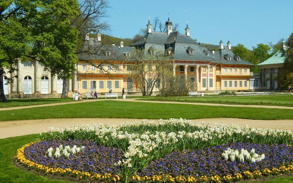 Schloss Pillnitz mit blühendem Garten im Vordergrund in Dresden.