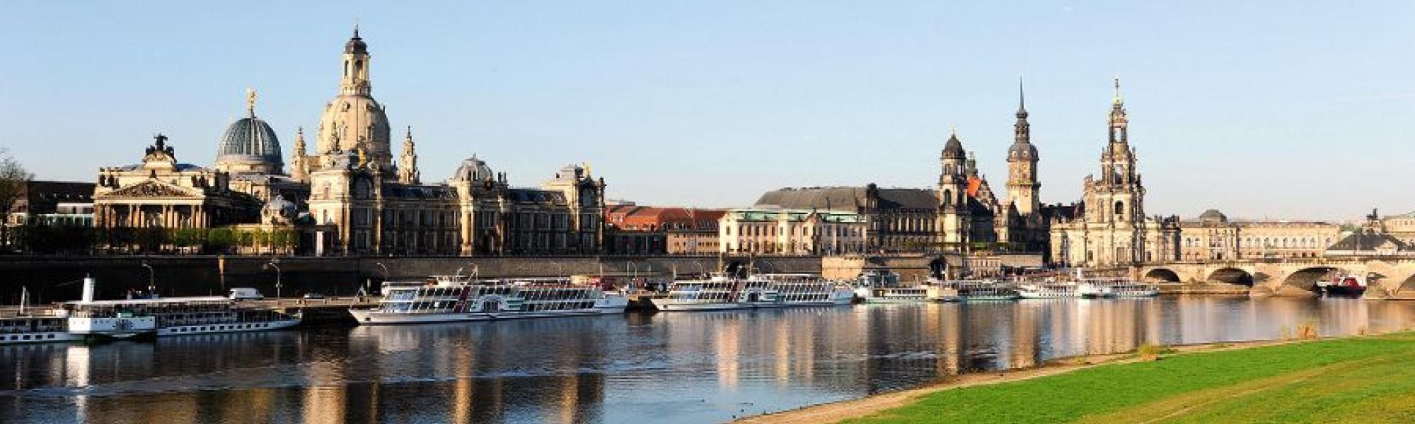 Weinsommer in Dresden