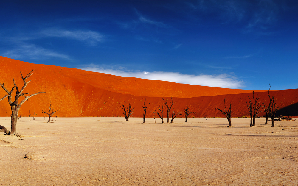 Sossusvlei