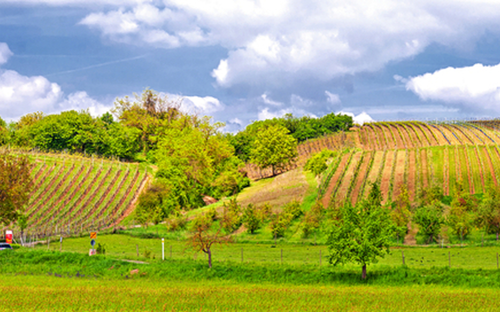 Panorama der Wallfahrtskirche Maria im Weinberg bei Volkach