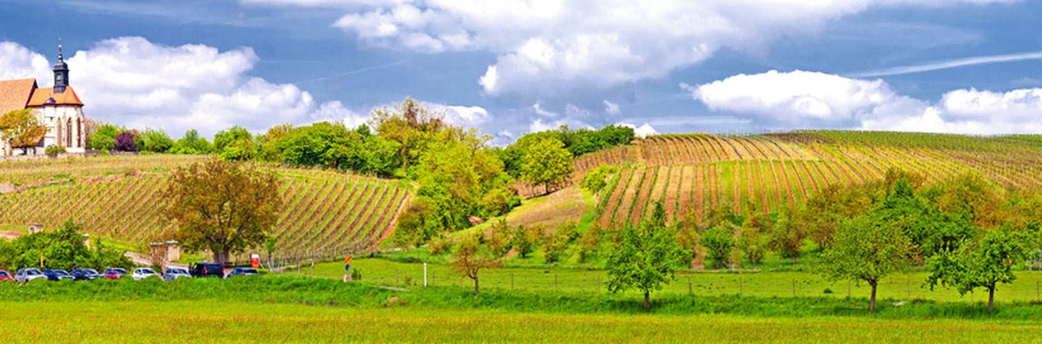 Panorama der Wallfahrtskirche Maria im Weinberg bei Volkach