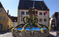 Eiersuche im Steigerwald