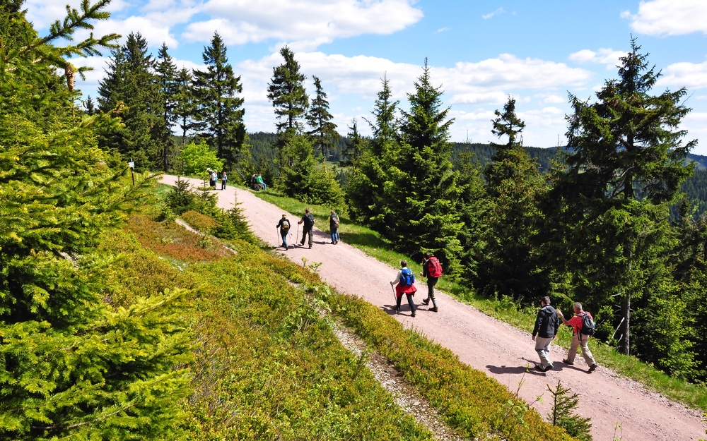 Wandern im Thüringer Wald