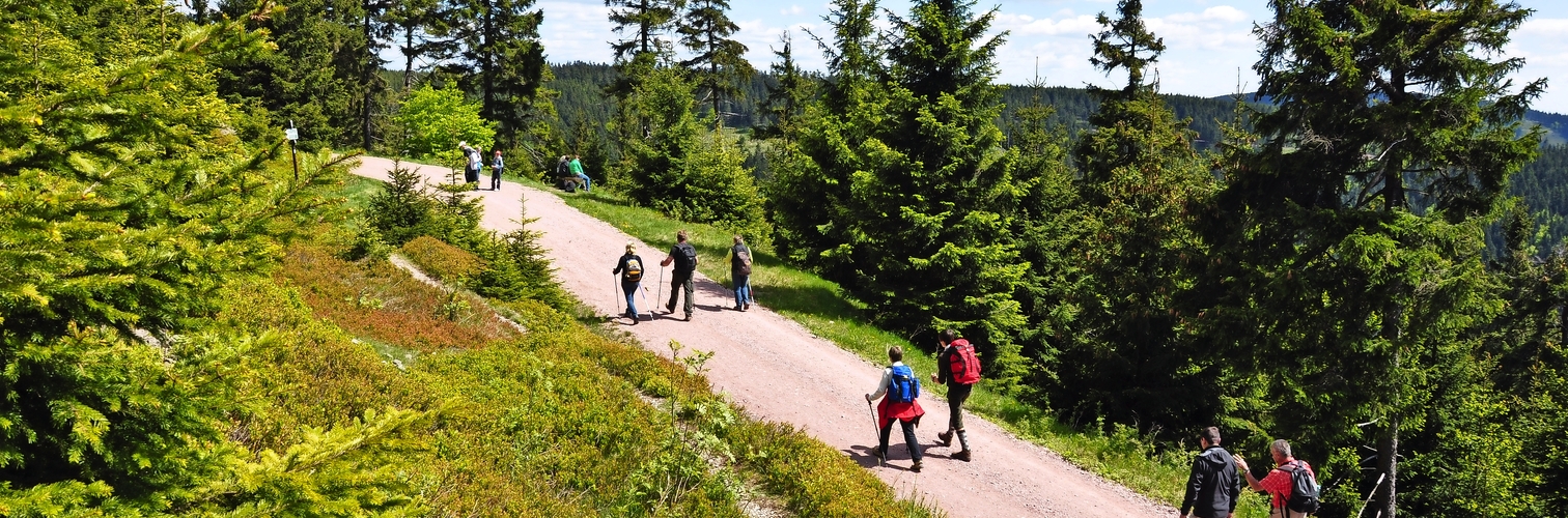 Wandern im Thüringer Wald