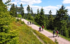 Wandern im Thüringer Wald