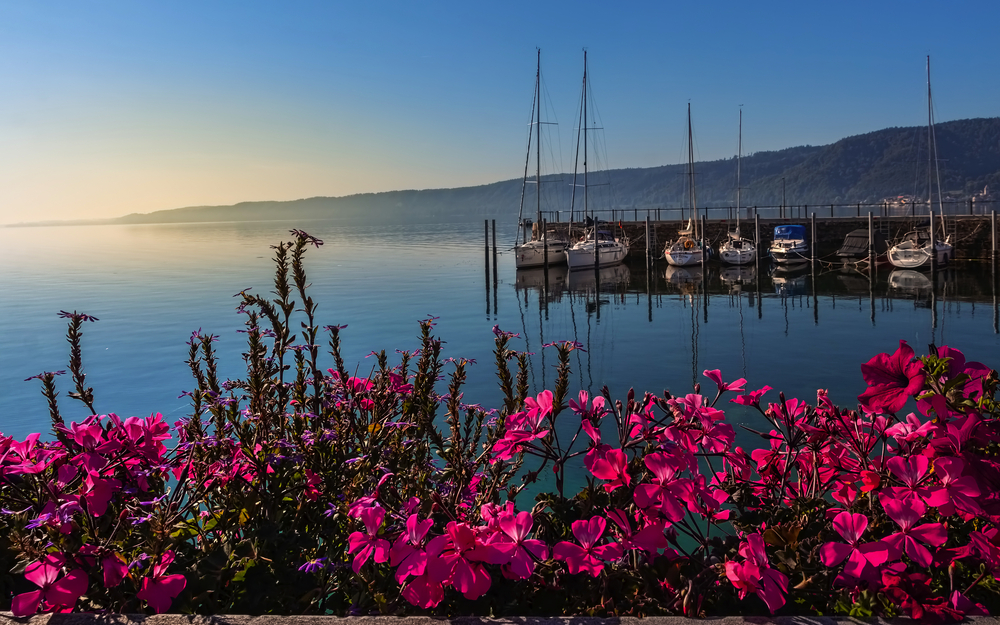vor Anker liegende Boote am Bodensee, Deutschland
