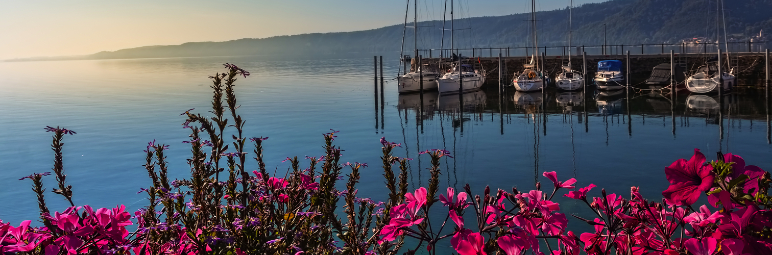 vor Anker liegende Boote am Bodensee, Deutschland