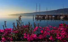 vor Anker liegende Boote am Bodensee, Deutschland