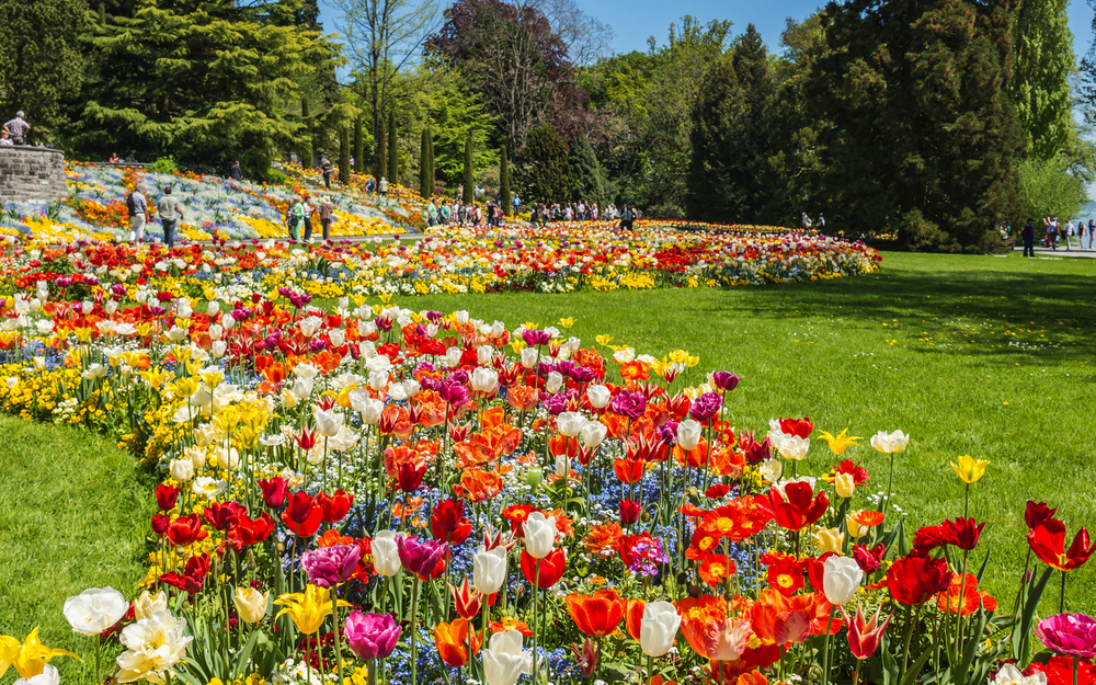 Schlosspark Mainau