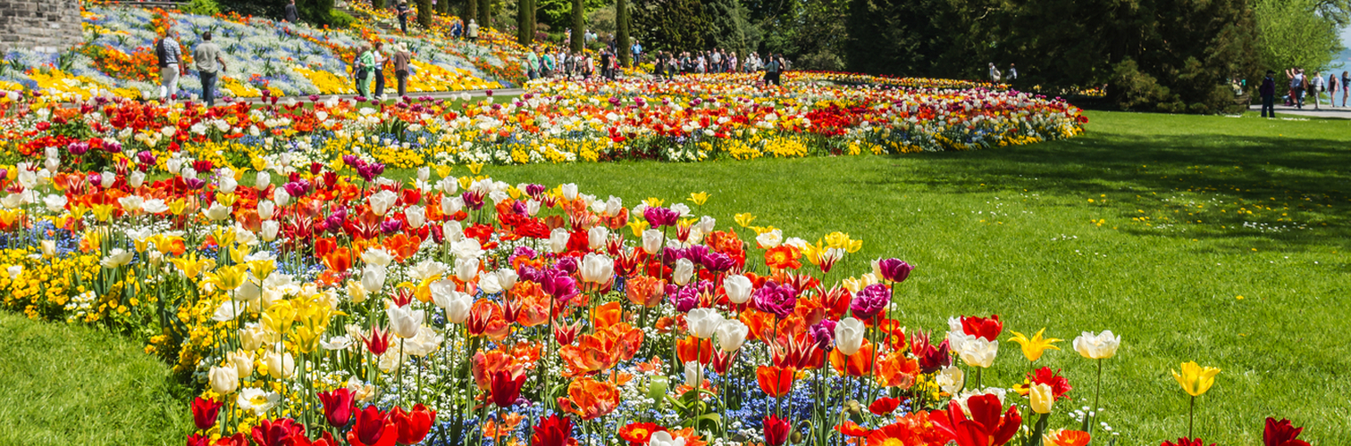 Schlosspark Mainau
